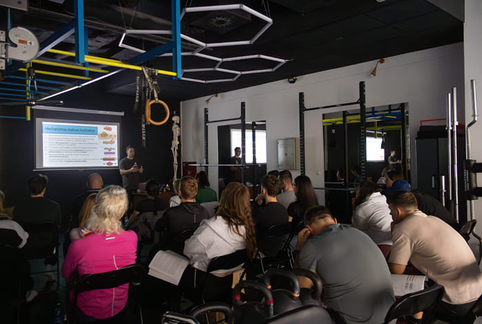 interné školenie a workshop EfectFit